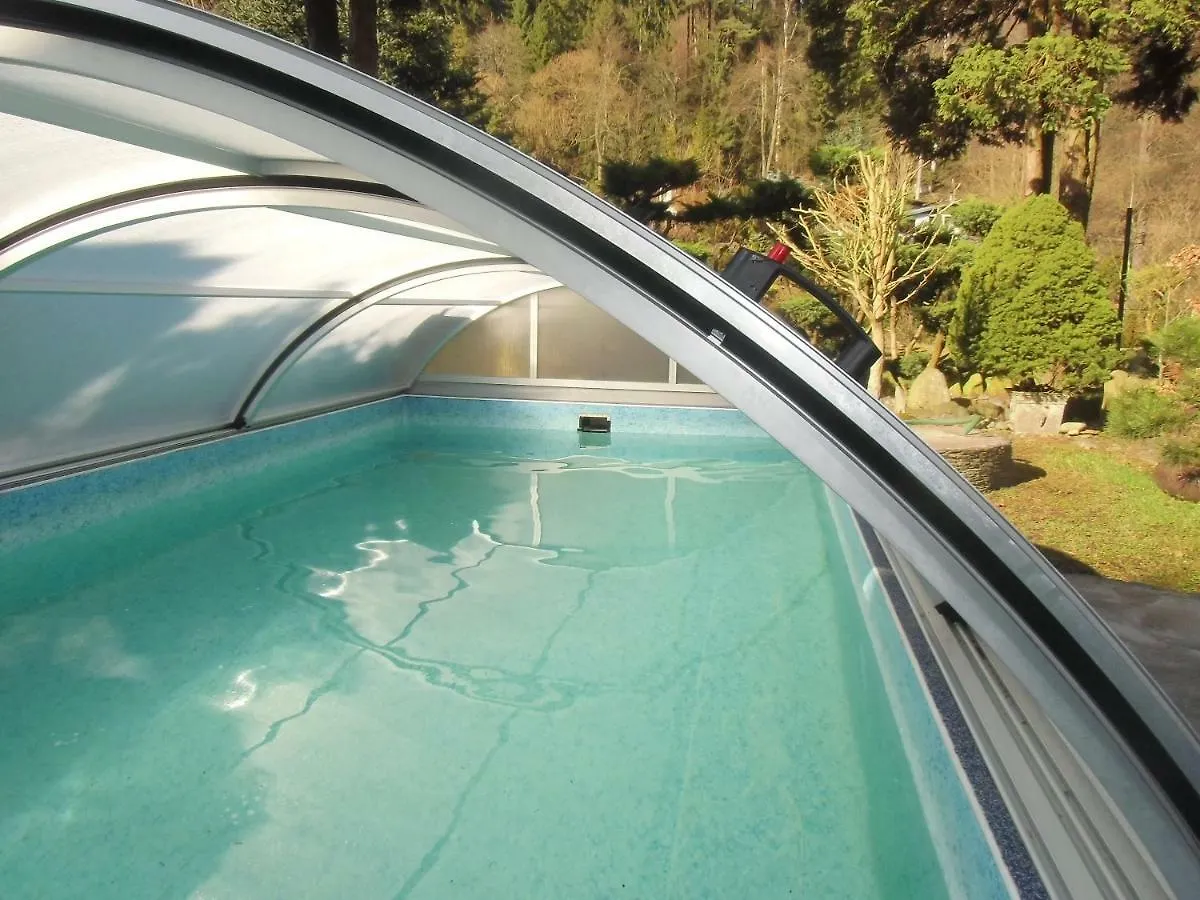 Guest house Pension U Kaktusu Karlovy Vary