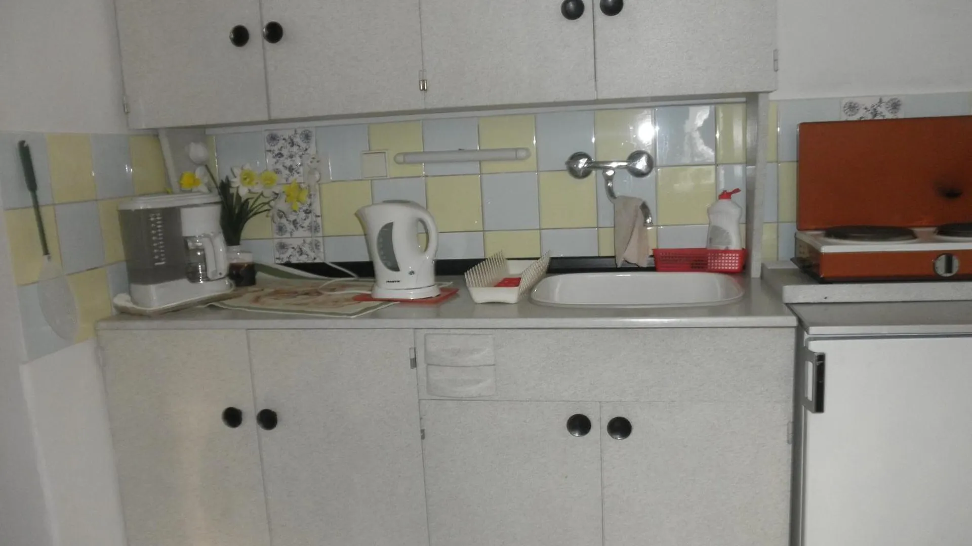 Pension U Kaktusu Karlsbad 2*,  Tjekkiet