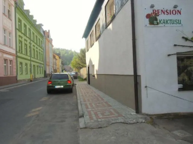 Pension U Kaktusu Karlsbad 2*,