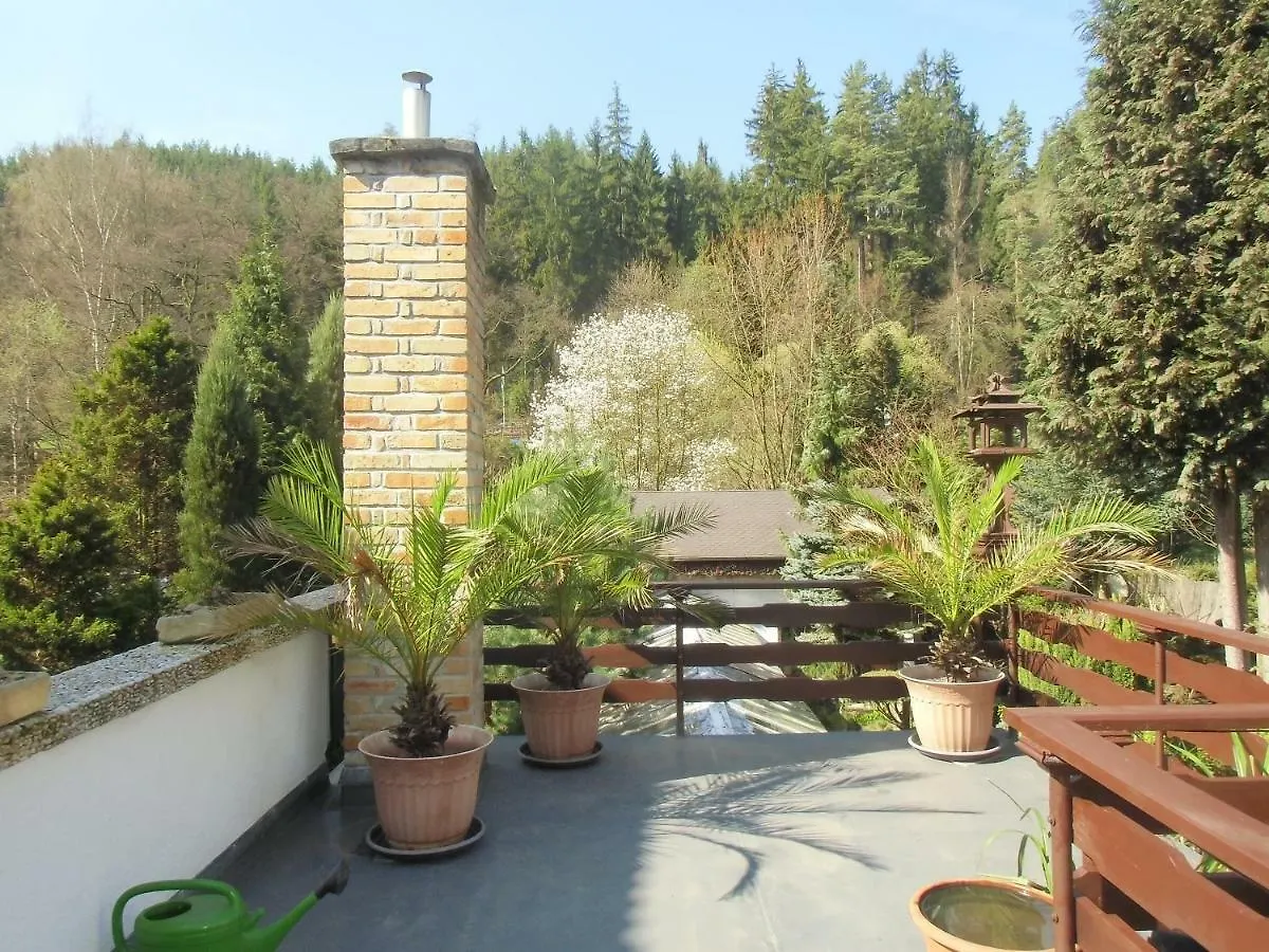 Pension U Kaktusu Karlsbad