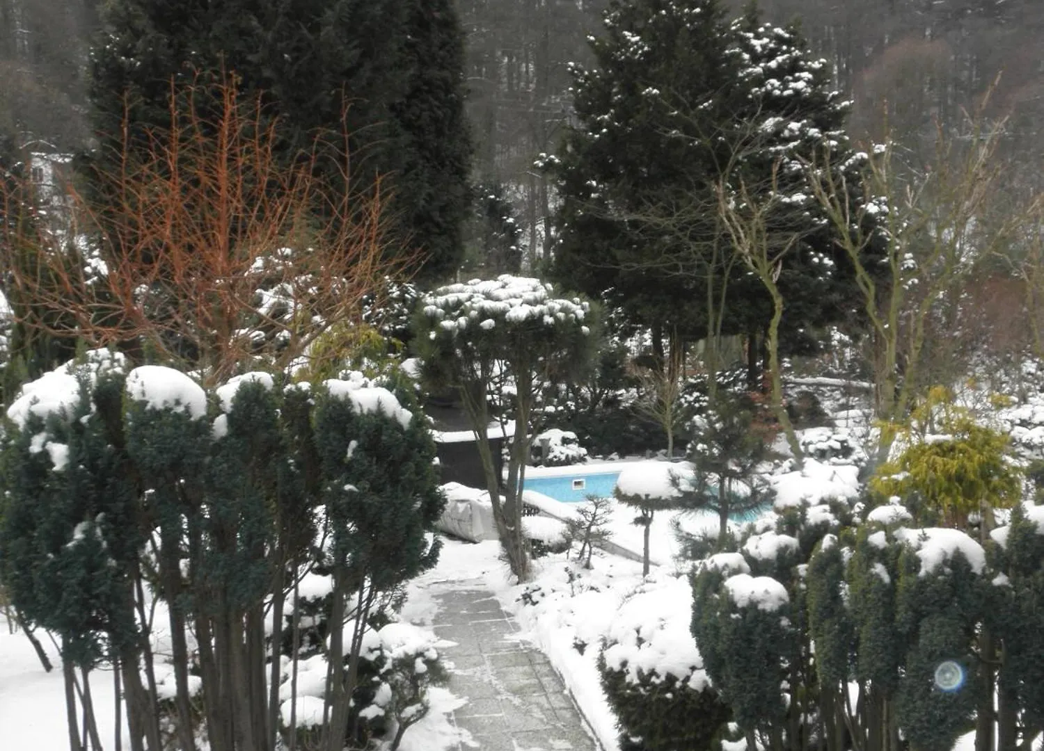 Pension U Kaktusu Karlovy Vary