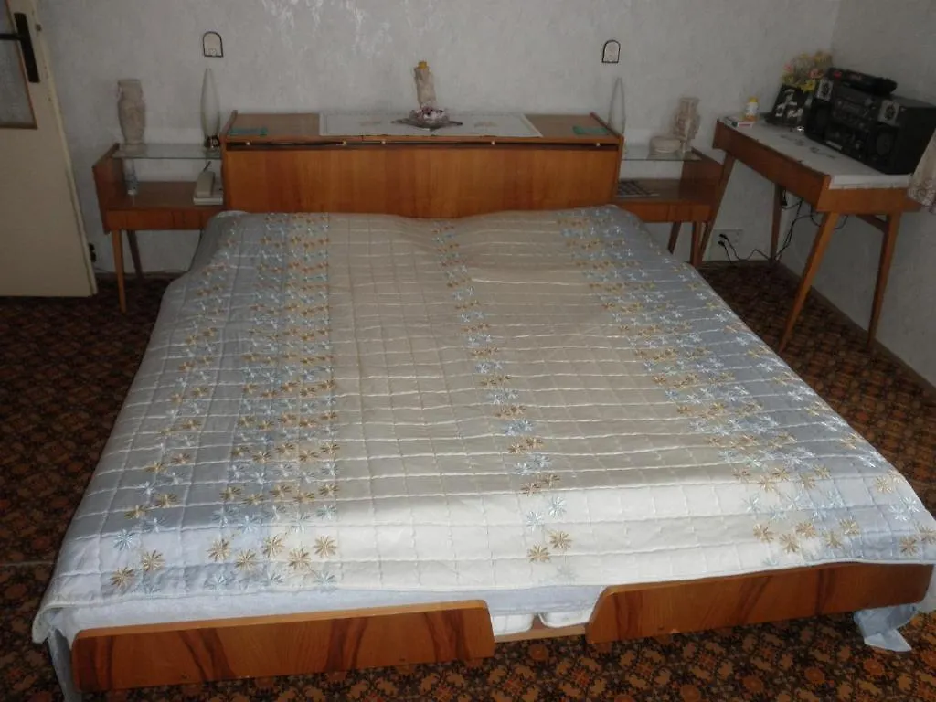 Pension U Kaktusu Karlovy Vary Guest house