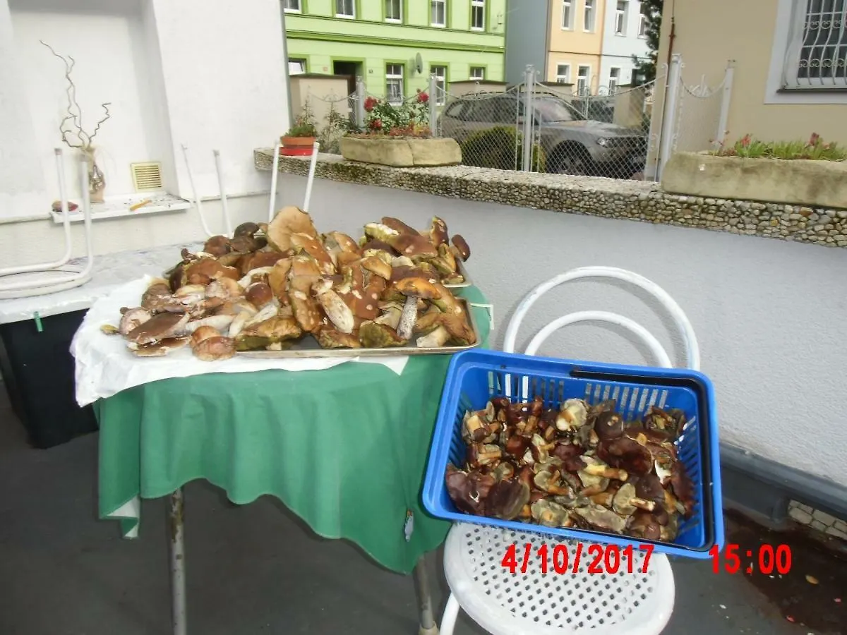 Pension U Kaktusu Karlovy Vary Guest house